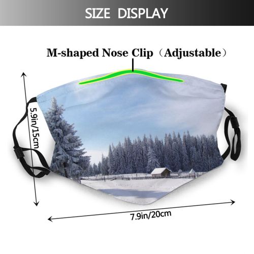 yanfind Winter Lamp Spruce Winter Colorado Balsam Light Shortleaf Spruce Snow Pine Forest Dust Washable Reusable Filter and Reusable Mouth Warm Windproof Cotton Face