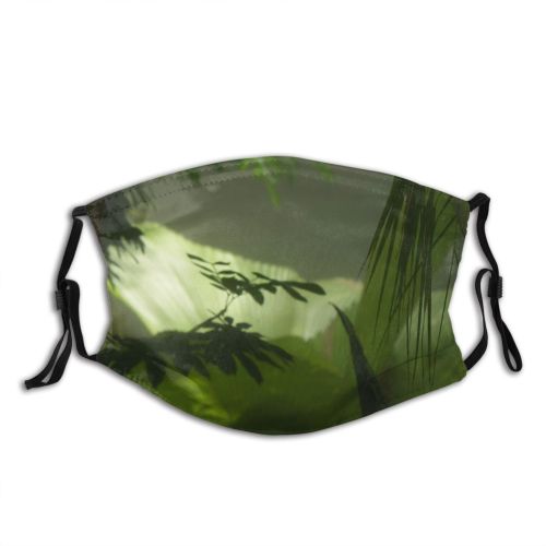 yanfind Plant Exotic Tree Plant Dark Forest Jungle Terrestrial Botany Leaf Jungle Woodland Dust Washable Reusable Filter and Reusable Mouth Warm Windproof Cotton Face