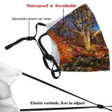 yanfind HDR Natural Autumn October Landscape Fall Forrest Leaf Forest Sunny Hardwood Leaf   Dust Washable Reusable Filter and Reusable Mouth Warm Windproof Cotton Face