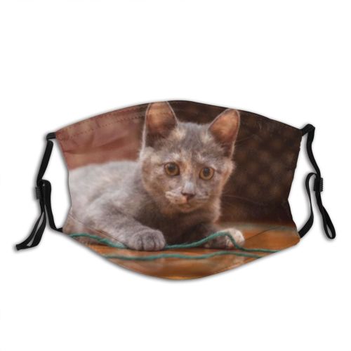 yanfind Fur Yarn Heels Knitting Wool Cat Kitty Cute Big Confused Ball Baby Dust Washable Reusable Filter and Reusable Mouth Warm Windproof Cotton Face