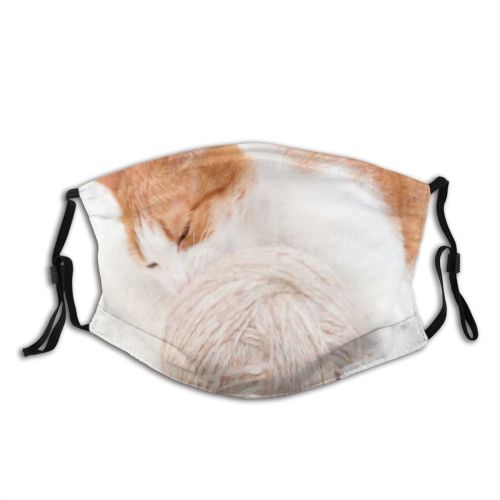yanfind Isolated Whisker Fur Fashion Sweater Young Wool Cat Warm Winter Knit Pedigreed Dust Washable Reusable Filter and Reusable Mouth Warm Windproof Cotton Face