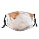 yanfind Isolated Whisker Fur Fashion Sweater Young Wool Cat Warm Winter Knit Pedigreed Dust Washable Reusable Filter and Reusable Mouth Warm Windproof Cotton Face