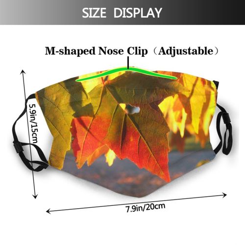yanfind Maple Dusk Autumn Woody Leaves Maple Plant Fall Leaf Leaf Tree Tree   Dust Washable Reusable Filter and Reusable Mouth Warm Windproof Cotton Face