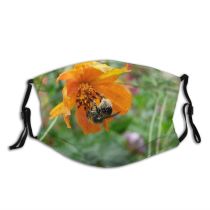 yanfind Plant Bumblebee Flower Bee Nectar Bee Tree Insect Pollinator Plant Growing Outdoor Dust Washable Reusable Filter and Reusable Mouth Warm Windproof Cotton Face
