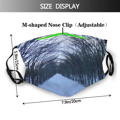 yanfind Sky Plant Infrastructure Symmetry Tree Branch Plant Winter Freezing Snow Woody Roses Dust Washable Reusable Filter and Reusable Mouth Warm Windproof Cotton Face