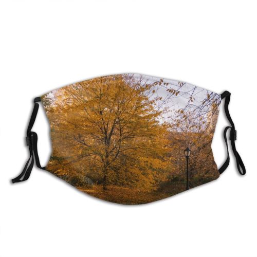 yanfind Idyllic Autumn Foliage Woodland Daylight Calm Golden Flora Park Way Forest Walkway Dust Washable Reusable Filter and Reusable Mouth Warm Windproof Cotton Face