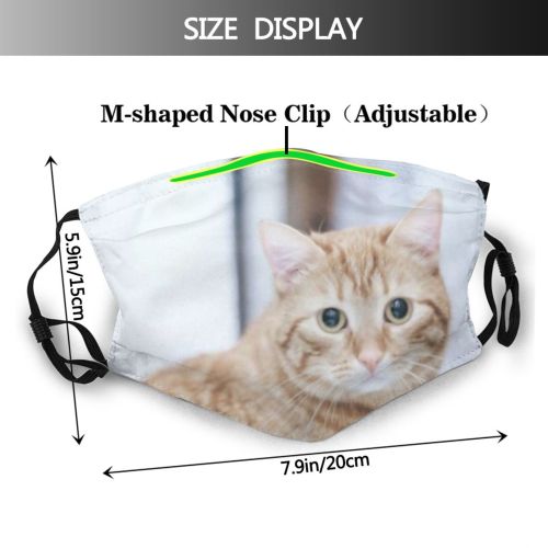 yanfind Attractive Fur Cat Kitty Cute Ginger Whiskered Pet Kitten Home Gib Adorable Dust Washable Reusable Filter and Reusable Mouth Warm Windproof Cotton Face
