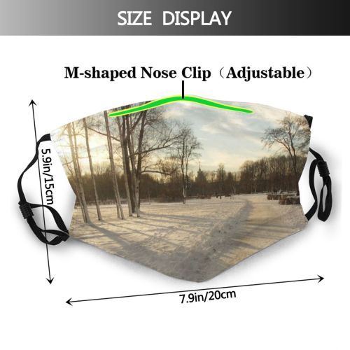 yanfind Winter Sky Christmas December Morning Winter Natural Sun Cloud Landscape Sky Branch Dust Washable Reusable Filter and Reusable Mouth Warm Windproof Cotton Face