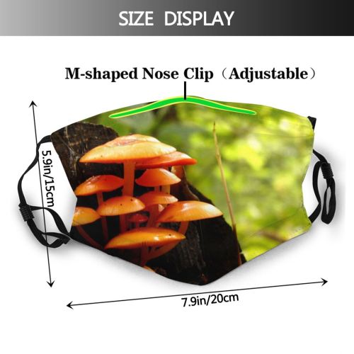 yanfind Plant Edible Agaricaceae Michigan Fungus Agaricomycetes Agaricus Forest Mushroom Mushroom Terrestrial Medicinal Dust Washable Reusable Filter and Reusable Mouth Warm Windproof Cotton Face