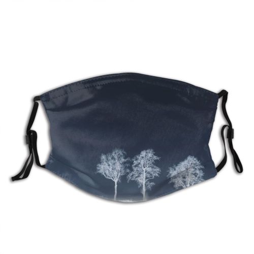 yanfind Winter Winter Natural Atmospheric Landscape Sky Tree Frost Lighting Trees Atmosphere Freezing Dust Washable Reusable Filter and Reusable Mouth Warm Windproof Cotton Face