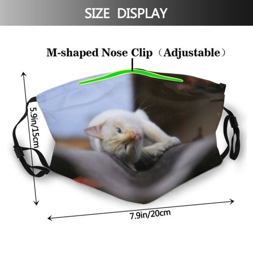 yanfind Fur Young Life Roof Cat Cute Old Summer Relax Beautiful Sleeping Pet Dust Washable Reusable Filter and Reusable Mouth Warm Windproof Cotton Face
