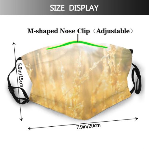 yanfind Cereal Ditch Wheat Season Field Rye Scene Bread Sky  Netherlands Farm Dust Washable Reusable Filter and Reusable Mouth Warm Windproof Cotton Face