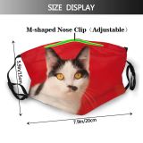 yanfind Lovely Fur Young Cat Cute Carnivore Attention Shorthair Posing Curious Beautiful Pretty Dust Washable Reusable Filter and Reusable Mouth Warm Windproof Cotton Face