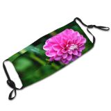 yanfind Plant Annual Flower Flower Wildflower Plant Park Outdoor Botany Petal Flowering Dahlia Dust Washable Reusable Filter and Reusable Mouth Warm Windproof Cotton Face