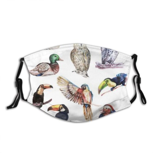 yanfind Isolated Garden Bird Picture Little Cute Feather Colorful Ornithology Wildlife Summer Wings Dust Washable Reusable Filter and Reusable Mouth Warm Windproof Cotton Face