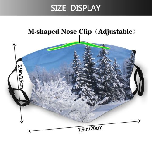 yanfind Winter Sky Christmas Spruce Winter Colorado Plant Balsam Shortleaf Snow Clouds Pine Dust Washable Reusable Filter and Reusable Mouth Warm Windproof Cotton Face