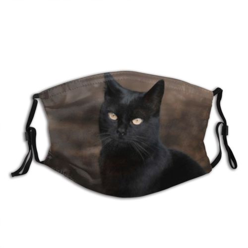 yanfind Face Portrait Pet Eyes Look Cat Cute Adorable Dust Washable Reusable Filter and Reusable Mouth Warm Windproof Cotton Face
