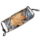 yanfind Maple Limb Wood Autumn Branches Woody Drops Leaves Branch Maple Plant Fall Dust Washable Reusable Filter and Reusable Mouth Warm Windproof Cotton Face