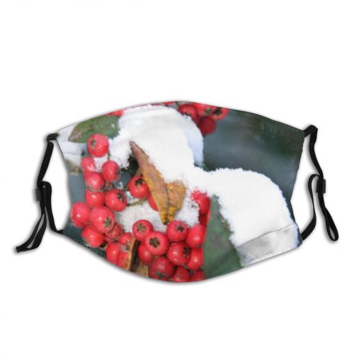 yanfind Winter Berry Christmas Berry Fruit Festive Plant Flower Flowering Leaf Plants Garden Dust Washable Reusable Filter and Reusable Mouth Warm Windproof Cotton Face