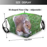 yanfind Vertebrate Garden Terrestrial Squirrel Eatting Fox Squirrel Grey Grass Whiskers Wildlife Snout Dust Washable Reusable Filter and Reusable Mouth Warm Windproof Cotton Face