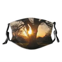 yanfind Morning Natural Atmospheric Sun Autumn Branch Sunset Landscape Sky Branch Tree Tree Dust Washable Reusable Filter and Reusable Mouth Warm Windproof Cotton Face