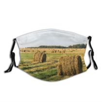 yanfind Field Grassland Field Rural Plant Sky Farm Straw Hay Agriculture Harvest Area Dust Washable Reusable Filter and Reusable Mouth Warm Windproof Cotton Face