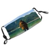 yanfind Lake Trees Sky Mountains Range Mountain Dust Washable Reusable Filter and Reusable Mouth Warm Windproof Cotton Face