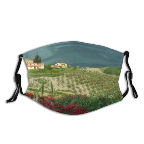 yanfind Field Spring Tuscany Beautiful Natural Area Rural Landscape Sky Plant Wildflower Flower Dust Washable Reusable Filter and Reusable Mouth Warm Windproof Cotton Face