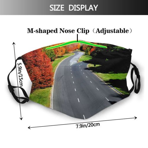 yanfind Thoroughfare Natural Highway Asphalt Landscape Fall Road Leaf Sunshine Tree Autumn Road Dust Washable Reusable Filter and Reusable Mouth Warm Windproof Cotton Face
