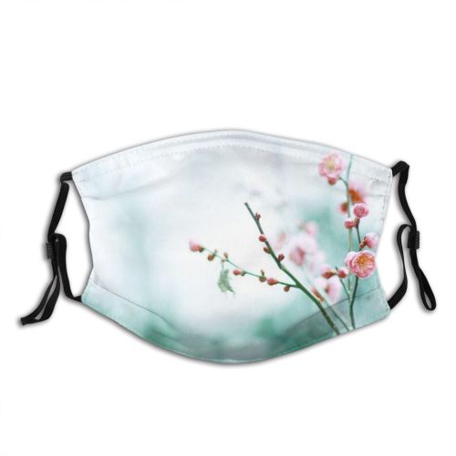 yanfind Plum Prefecture Japan Foreground ness Branch Flower Focus  Osaka Outdoors Winter Dust Washable Reusable Filter and Reusable Mouth Warm Windproof Cotton Face