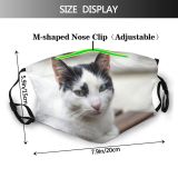 yanfind Cats Eyes Istanbul Stray Cat Dust Washable Reusable Filter and Reusable Mouth Warm Windproof Cotton Face
