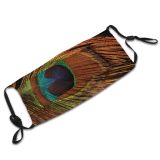 yanfind Iris Natural Peacock Art Fractal Graphics Accessory Feather Eye Peacocks Plume Macro Dust Washable Reusable Filter and Reusable Mouth Warm Windproof Cotton Face