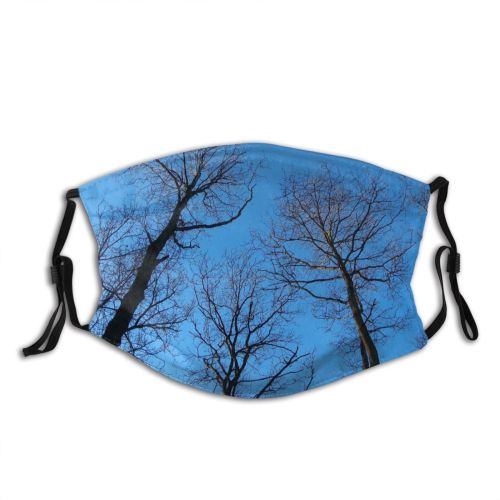 yanfind Natural Woody Vegetation Landscape Sky Plant Light Branch Wood Holland Amsterdamse Forest Dust Washable Reusable Filter and Reusable Mouth Warm Windproof Cotton Face