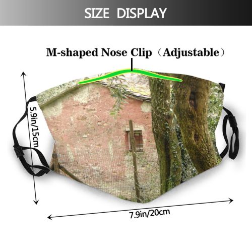 yanfind Flower Area Woody Rural Genoa Plant Branch Houses Leaf Stone Cyclamin Tree Dust Washable Reusable Filter and Reusable Mouth Warm Windproof Cotton Face