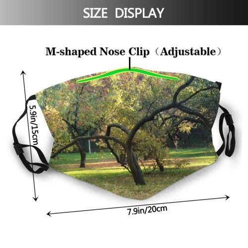 yanfind Natural Autumn Woody Landscape Plant Fall Branch Leaf Leaf Tree Tree Park Dust Washable Reusable Filter and Reusable Mouth Warm Windproof Cotton Face