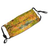 yanfind Temperate Maples Pentax Fall Branches Woody D Branch Maple Plant Broadleaf Branch Dust Washable Reusable Filter and Reusable Mouth Warm Windproof Cotton Face