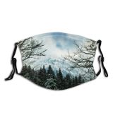 yanfind Ice Frost Frosty Mountain Snowy Forest Clouds Daytime Branches Frozen Capped Scene Dust Washable Reusable Filter and Reusable Mouth Warm Windproof Cotton Face