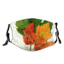 yanfind Flowering Leaf Maple Leaf Plant Maple Tree Plant Botany Plane Flower Dust Washable Reusable Filter and Reusable Mouth Warm Windproof Cotton Face