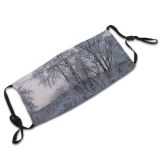 yanfind Landscape Sky Tree Plant Branch Frost Winter Natural Freezing Atmospheric Snow Woody Dust Washable Reusable Filter and Reusable Mouth Warm Windproof Cotton Face