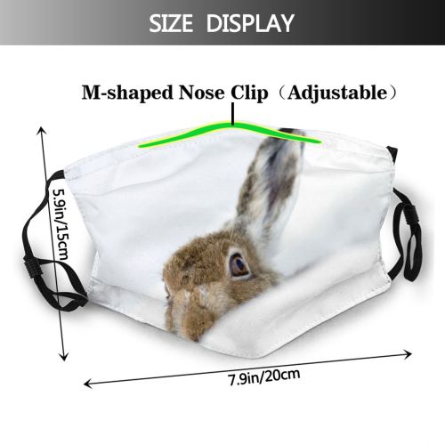 yanfind Peeking Snow Camera Hare Space Wildlife Tilt UK Mountain Cute Security Deep Dust Washable Reusable Filter and Reusable Mouth Warm Windproof Cotton Face
