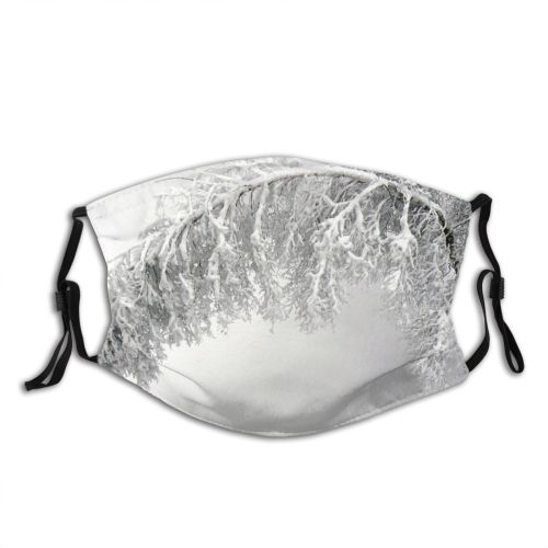 yanfind Winter Landscap Snow Plant Twig Tree Branch Frost Winter Freezing Fashion Accessory Dust Washable Reusable Filter and Reusable Mouth Warm Windproof Cotton Face