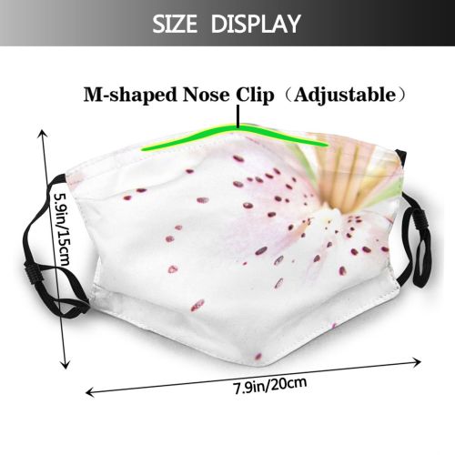 yanfind Lily Motion Fashion Beauty Spots Heart Central Plant Petal Resort Flower Spa Dust Washable Reusable Filter and Reusable Mouth Warm Windproof Cotton Face