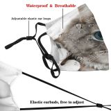 yanfind Hospital Fur Professional Stethoscope Young Cat Kitty Cute Clinic Vet Grey Medical Dust Washable Reusable Filter and Reusable Mouth Warm Windproof Cotton Face