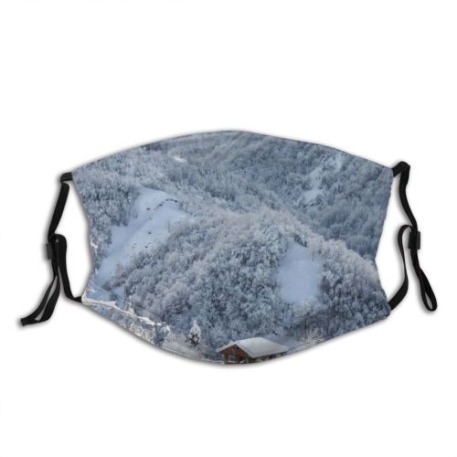 yanfind Idyllic Ice Frost Frosty Mountain Snowy Icy Daytime Chalet Frozen Tranquil Scenery Dust Washable Reusable Filter and Reusable Mouth Warm Windproof Cotton Face