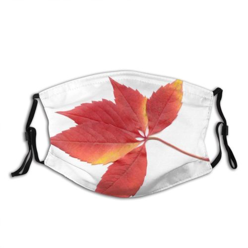 yanfind Flowering Deciduous Leaf Maple Gum Leaf Plant Flower Tree Sweet Plant Autumn   Dust Washable Reusable Filter and Reusable Mouth Warm Windproof Cotton Face