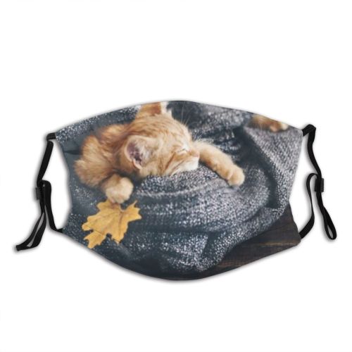 yanfind Comfortable Comfort Knitting Cat Cute Resting Warm Cozy Grey Wooden Child Autumn Dust Washable Reusable Filter and Reusable Mouth Warm Windproof Cotton Face