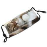 yanfind Lay Fur Stripe Striped Cat Cute Lazy Open Muzzle Calm Sleepy Face Dust Washable Reusable Filter and Reusable Mouth Warm Windproof Cotton Face