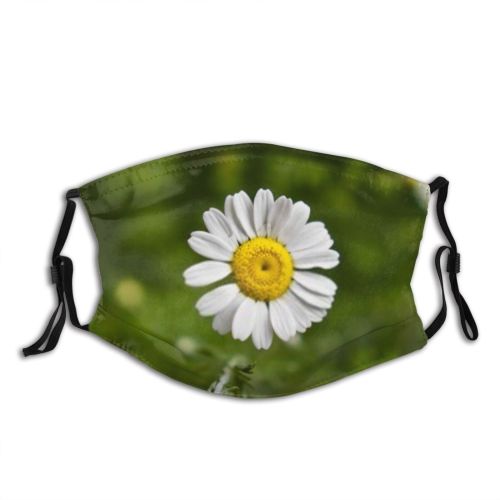 yanfind  Spring Flower Botany Lonely Camomile Garden Flora Blooming Grass Meadow Plant Dust Washable Reusable Filter and Reusable Mouth Warm Windproof Cotton Face