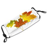 yanfind Maple Autumn Woody Leaves Maple Plant Fall Decoration Plane Leaf Leaf Tree Dust Washable Reusable Filter and Reusable Mouth Warm Windproof Cotton Face