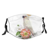 yanfind Isolated Bird Parrot Cute Natural Summer Vintage Bouquet Baby Blossom Design Art Dust Washable Reusable Filter and Reusable Mouth Warm Windproof Cotton Face